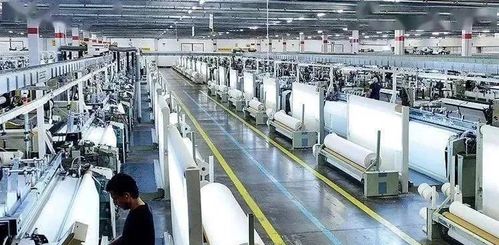 國內(nèi)貿(mào)易代理新機(jī)遇 面料企業(yè)如何在夾縫中求生與突圍