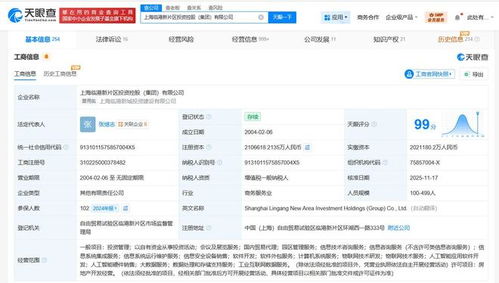 上海臨港新片區(qū)投資控股集團(tuán)資本實(shí)力顯著增強(qiáng)，注冊(cè)資本增至210.7億元，業(yè)務(wù)版圖再擴(kuò)張